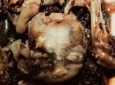 abortion picture 12